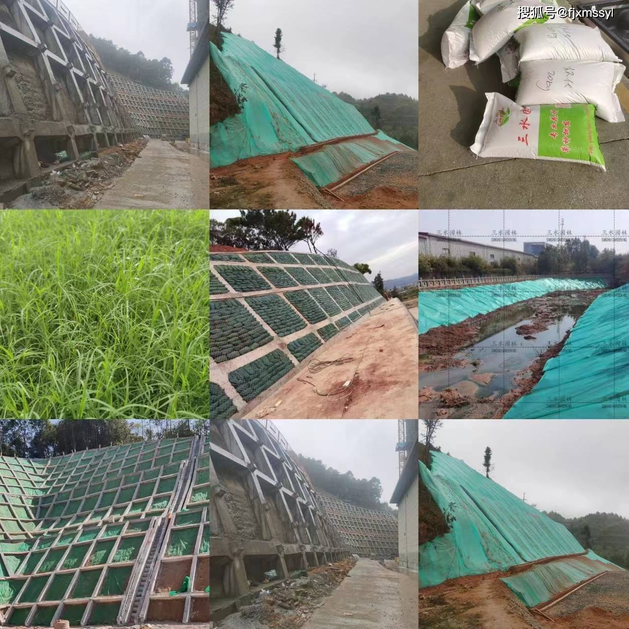 園林綠化景觀花海工程與體育場地設施工程施工流程詳解