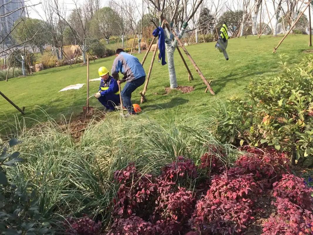 邊坡綠化工程 專業施工，筑造綠色家園的生態屏障